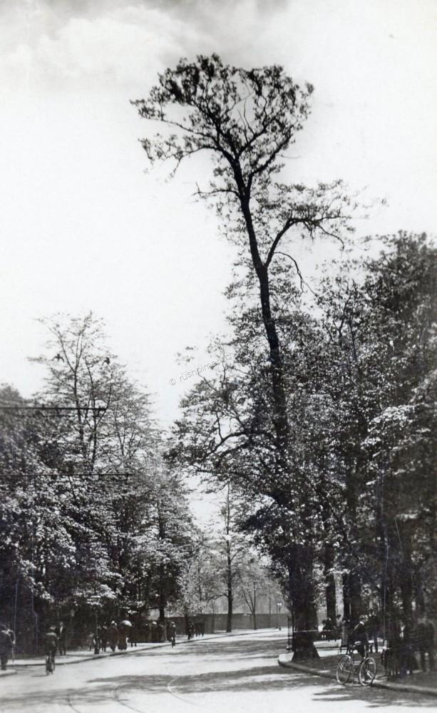 Wilmslow Rd, looking towards the Brow.