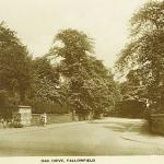 1917 Oak Drive