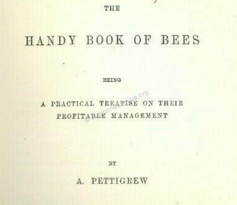 Handy Book of Bees , fly page