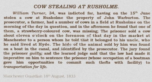 Cow stealing 1833
