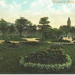 Flowerbeds again
