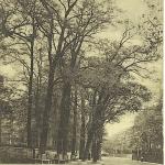 1904