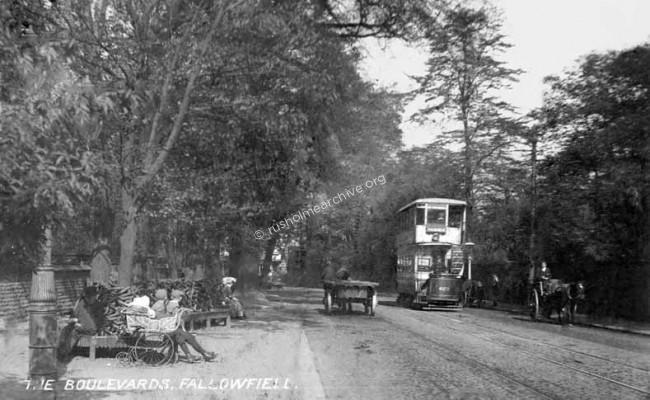 The Brow, (after restoration to photo!)