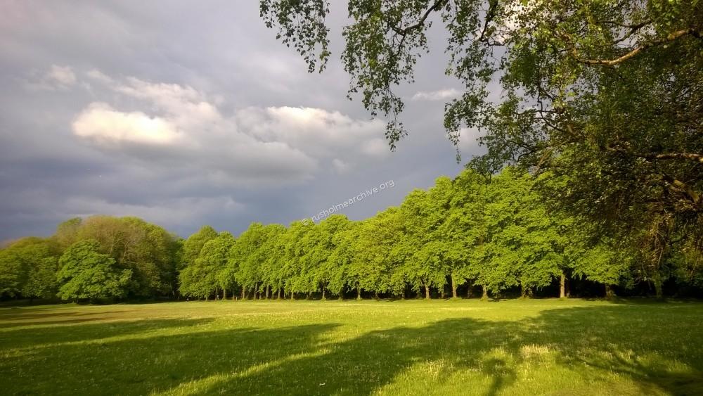 Birch Park