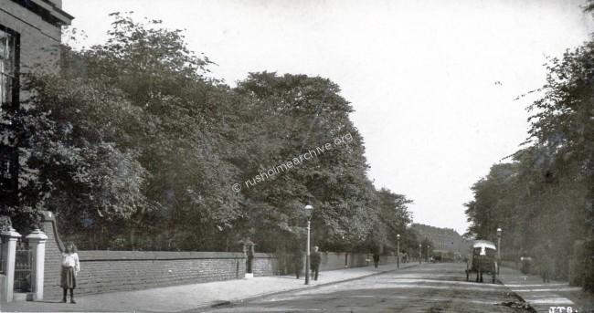Birch Lane looking north