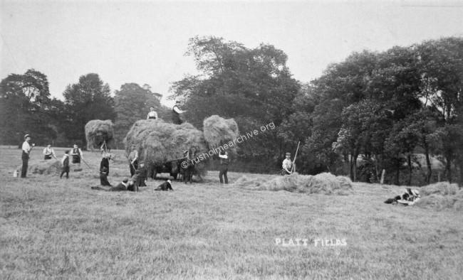 Haymaking, Platt Fields 1907
