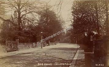Oak Drive 1908