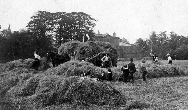 1907, Platt Fields Haymaking