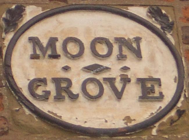 Moon Grove