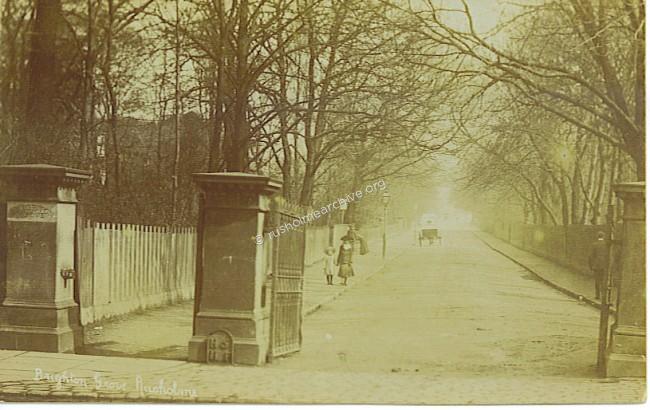 Brighton Grove 1905