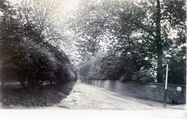 Birch Hall Lane 1906
