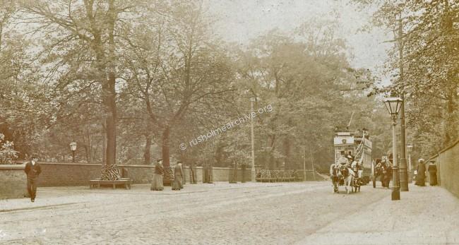 Brow 1904