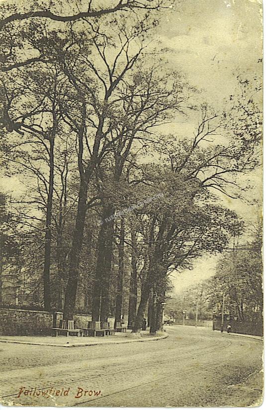 1904