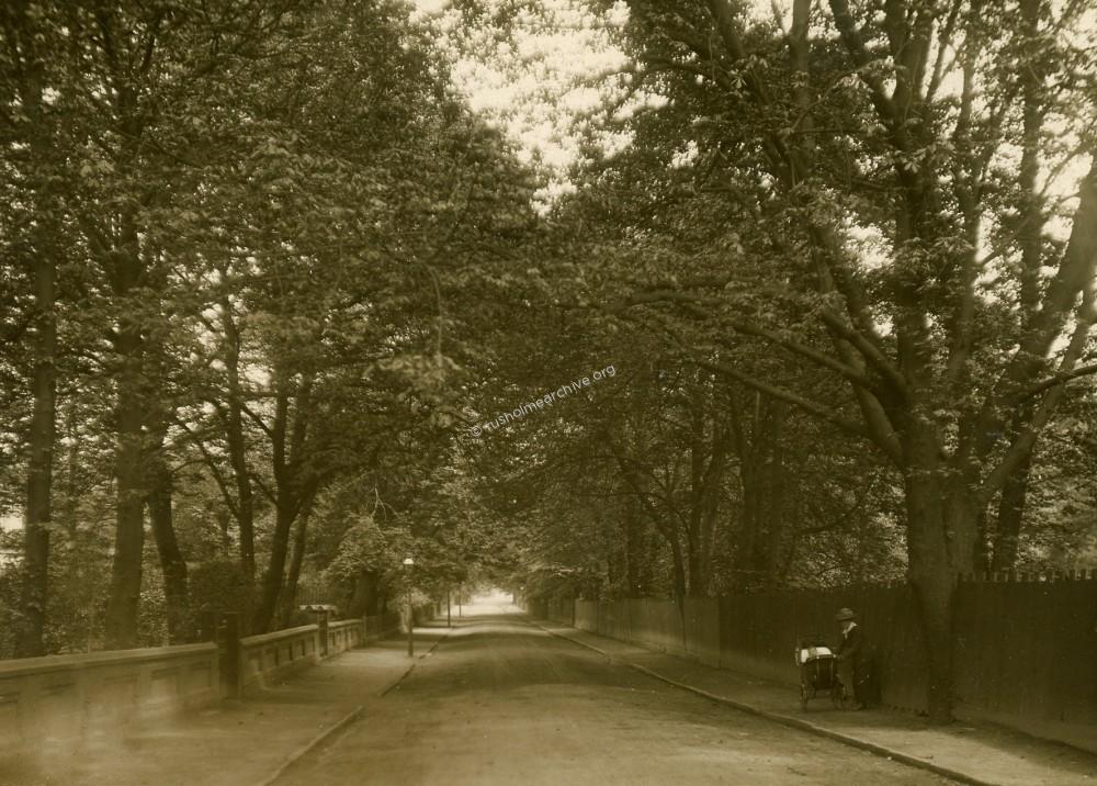 Brighton Grove