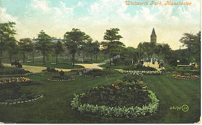 Flowerbeds again