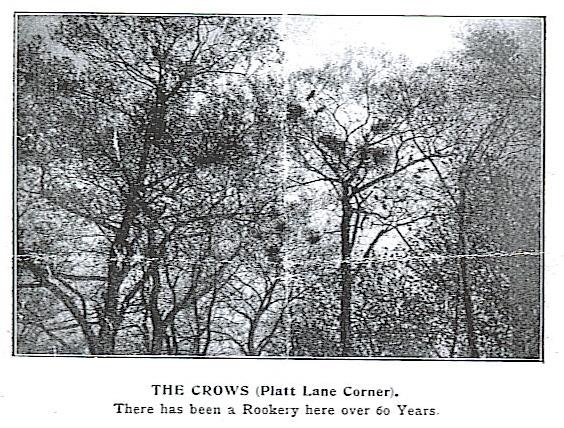 Platt Lane Rookery