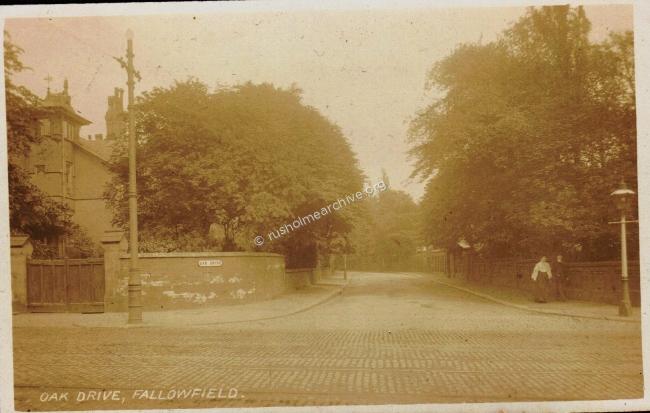 Oak Drive 1909