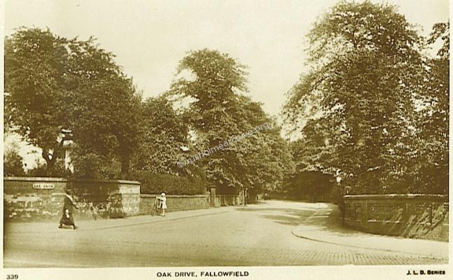 1917 Oak Drive