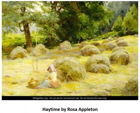 Haytime by Rosa Appleton